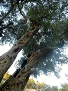 10322714_764720380252171_8333569078073474828_n